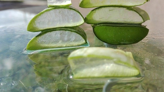 aloe vera glavno